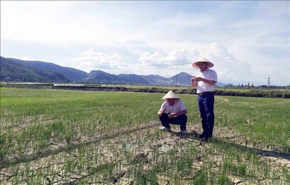 Tập trung ứng phó nắng nóng kéo dài, hạn hán tại Trung Bộ 1