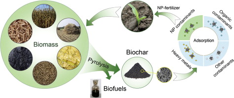 Biochar