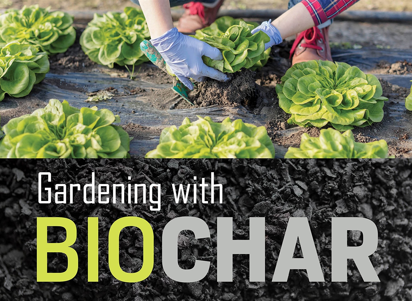 Trồng rau vườn tại nhà với biochar