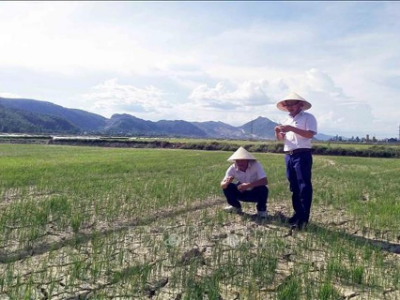 Tập trung ứng phó nắng nóng kéo dài, hạn hán tại Trung Bộ