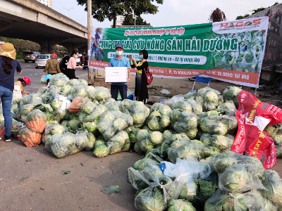 Giải cứu nông sản hải dương